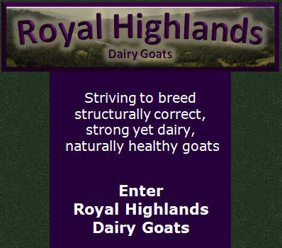 Enter Dairy Goats